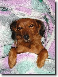 ..je�t� 10 minut...:)