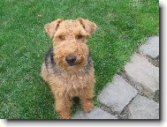 hele co to je za divnou kovovou v�c?