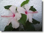 ��nsk� r��e