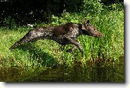 hop do vodi�ky :o)