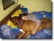 Nejlep�� mazl�k