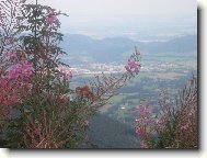 Pohled na okoln� sv�t......