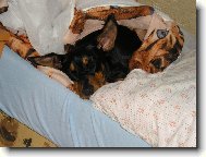 Sp�m z�sadn� pod pe�inkou...