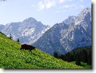 Milka kam se pod�v�