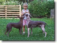 Lucinka a kamar�di