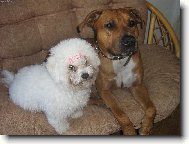 Shereenka se sv�m kamar�dem Argem