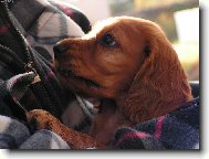 U Tebe je tepl��ko......