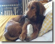 mazl��ek Ben��ek