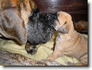 U m�my je nejl�p:o)