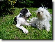 Nerozlu�n� dvojka