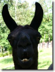 Co so o m� ��kala?!