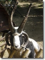 Nezkou�ejte m� na�tvat!