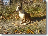 Na�e Peggy