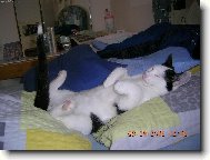 poledn� odpo�inek