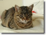 .....�ekla jsem NEFOTIT !!!!