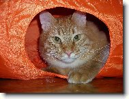 To je moje kr�lovstv�...