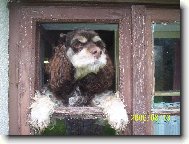 rozhled na cel� sv�t