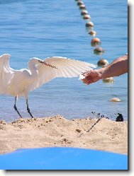 Nestrkej tu ruku tak bl�zko