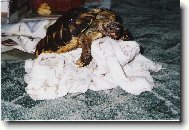 Z toho mal� nebudou!!!!!