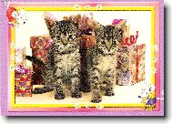 je�t� jestli  je tu pro n�s n�jak� d�re�ek