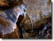 Pot��ek v Kru�n�ch hor�ch