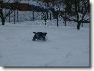 Argo�(Aron) ve sn�hu