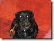 Nellynka si lebed� na seda�ce