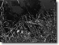 Podzimn� proch�zka