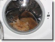 Tady je to nejlep��!!!