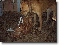 Dej to sem!! Ned�m!!!