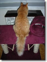 J� s Tebou neluv�m