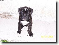 nejkr�sn�j�� zv���tko