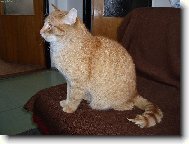 Jsem si ocucal oc�sek...