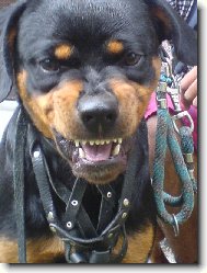 b��ek se nerad fot� :)