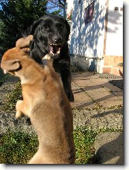 hele, kl�dek, j� to tak nemyslela....