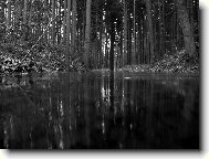 Val�ovick� jez�rko