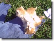 kdy jsem byl jet mal kluk,...