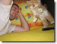 takhle chod� jen kocou�i-fraje�i