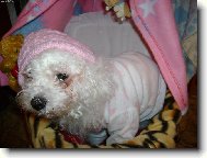 Na�e mal� miminko