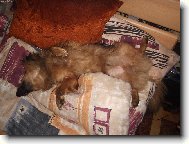 ZASLOU�EN� ODPO�INEK?