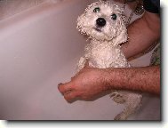 P�i prvn�m koup�n�m...