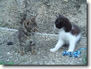 O�om sa rozpr�vate?