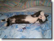 nejrad�i bych se nevid�l...