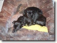 H��������j����������