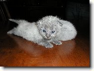 No nejsem k se�r�n� :-))