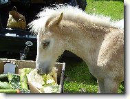 na�i mil��kov�