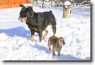 Kdo m� v�t�� sn�hov� vous, vyhr�v�.