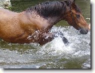 na�i mil��kov�