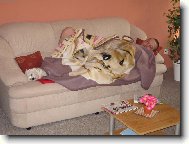 Tak jo, p�lku deky ti puj��m!