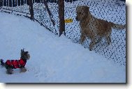 Láska na první pohled